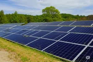 The Strategic Business Case for Commercial Solar in Rajasthan